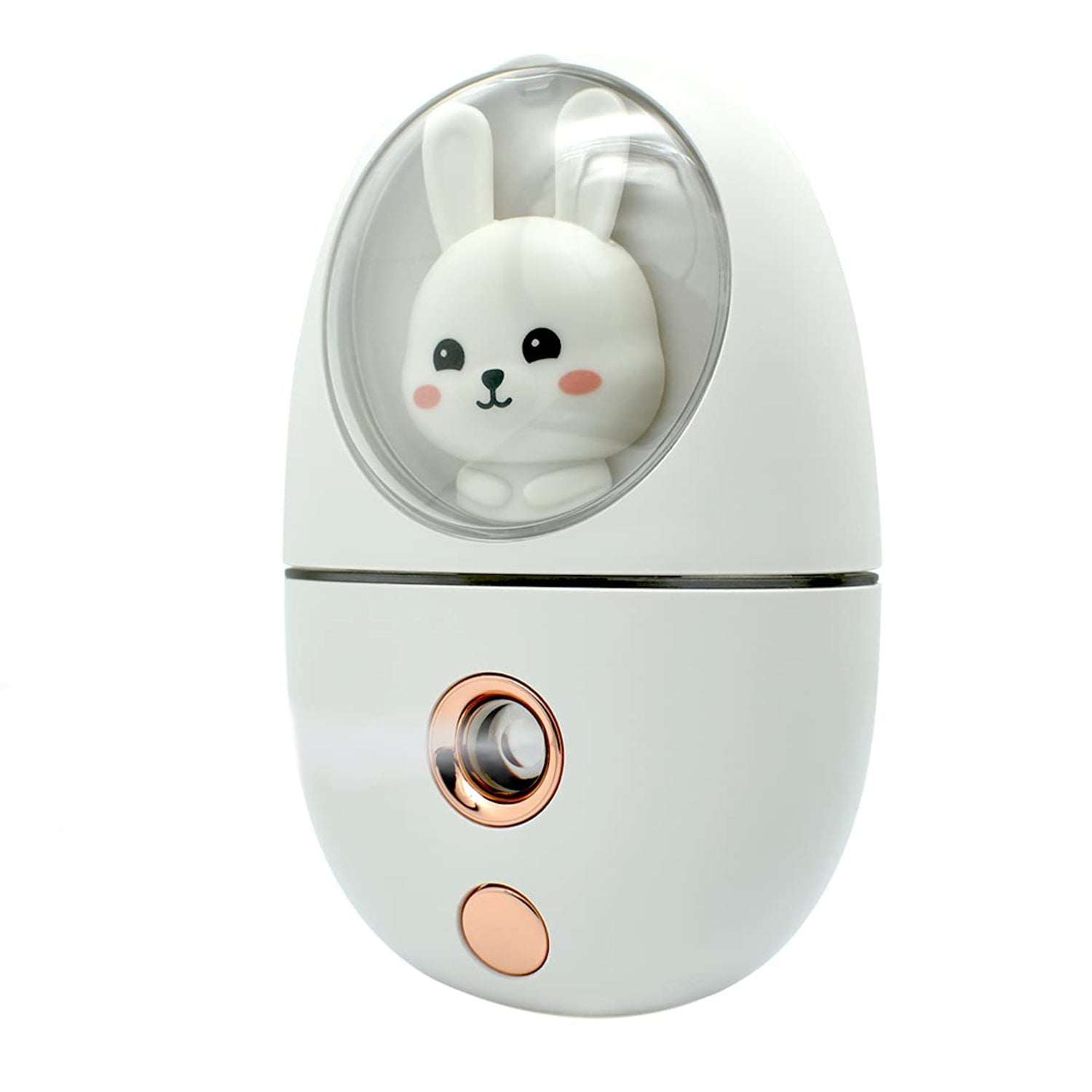 Bunny Bloom Bunny Bloom